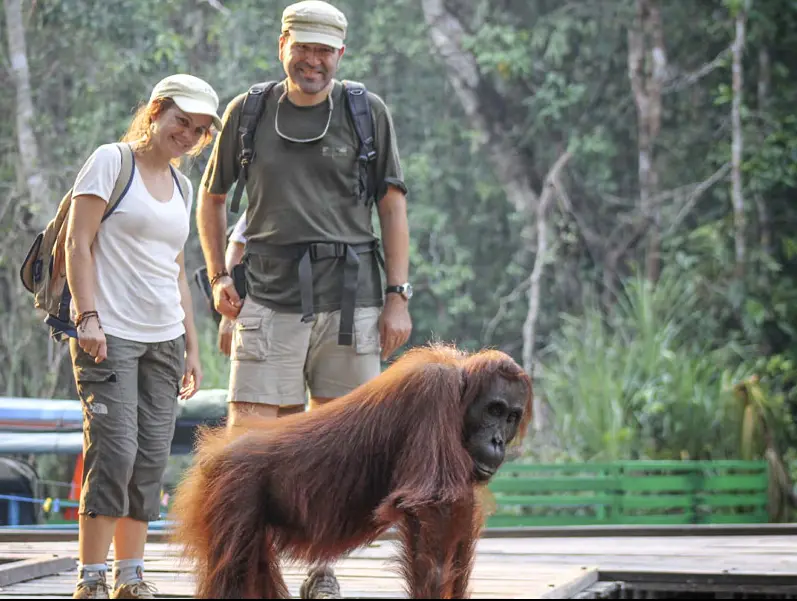 A man and woman enjoying an adventurous moment next to an oranguel on their yacht.